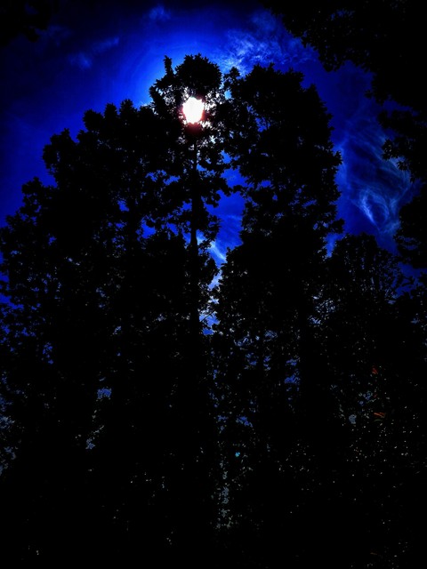The sun or the moon?