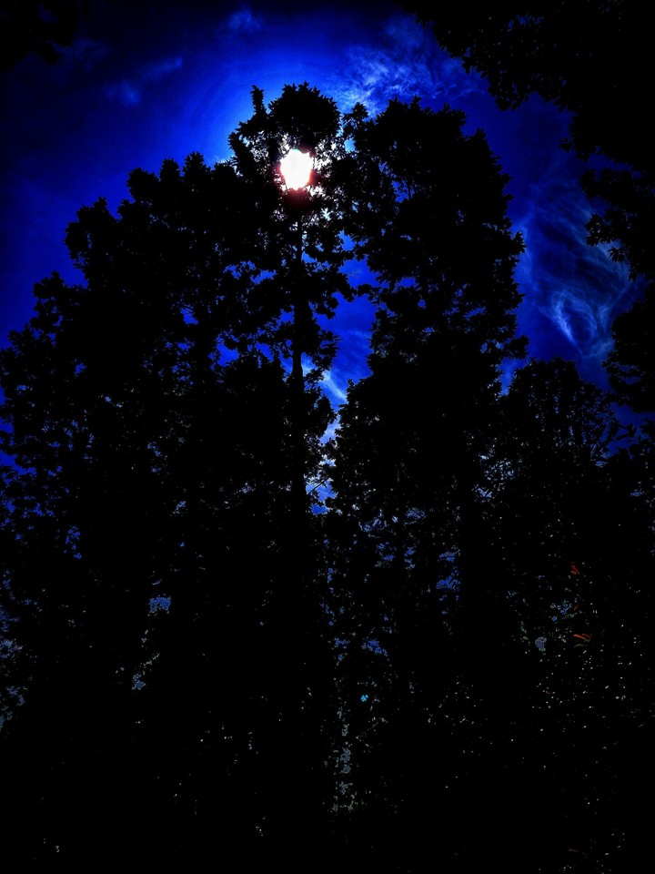 The sun or the moon?