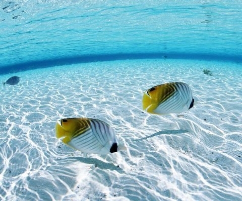 Fundo do mar