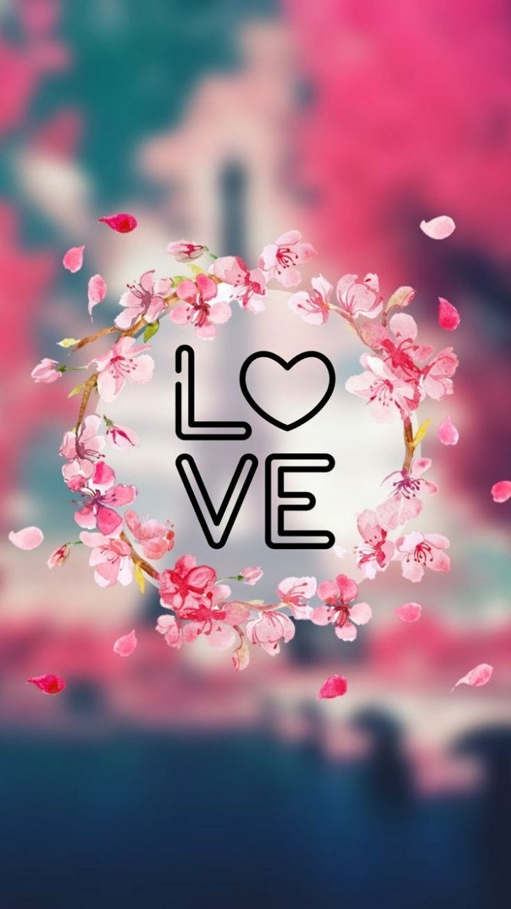 ❤️❤️❤️❤️❤️