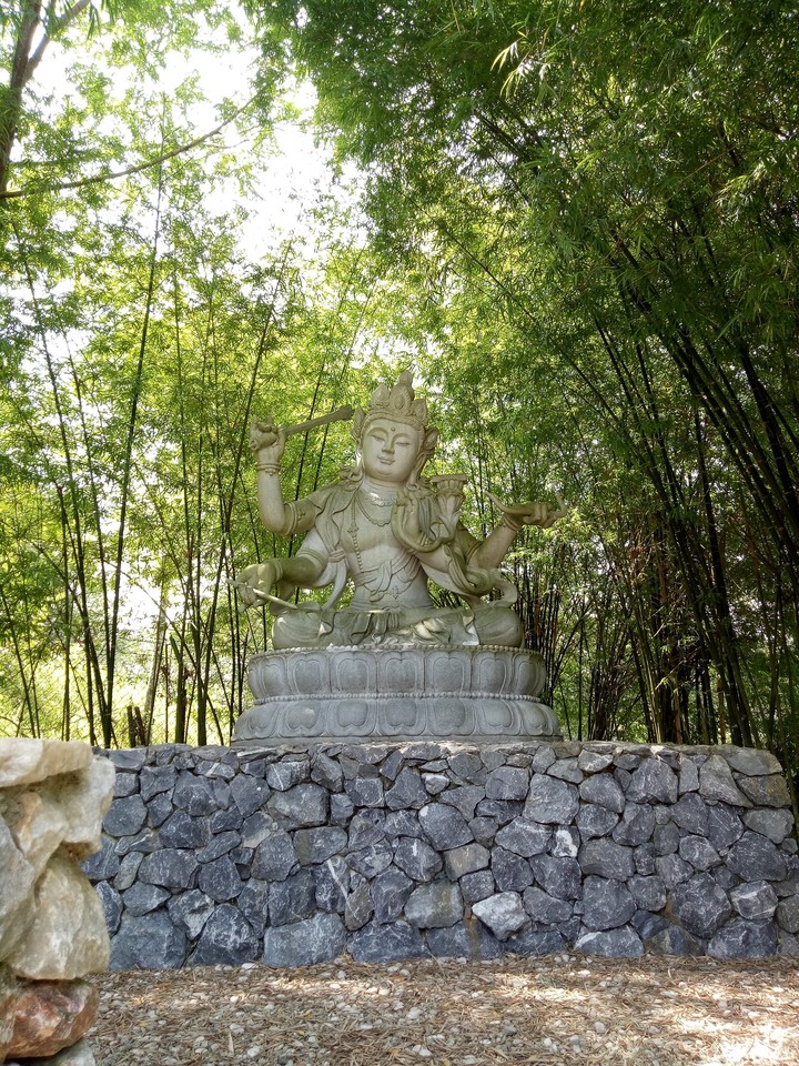 buddha