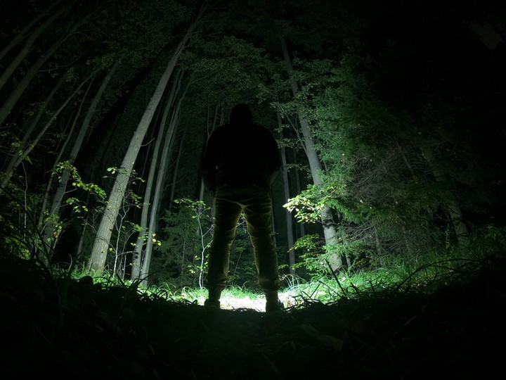 CreepForest