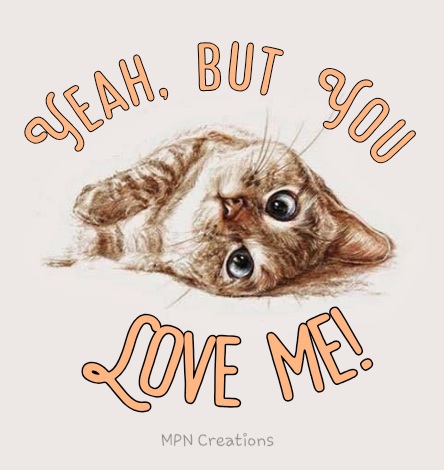 Cute Kitten