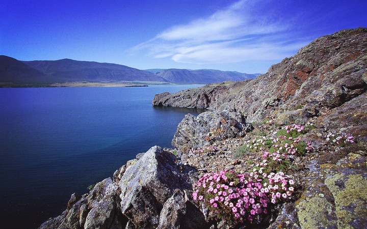 nature