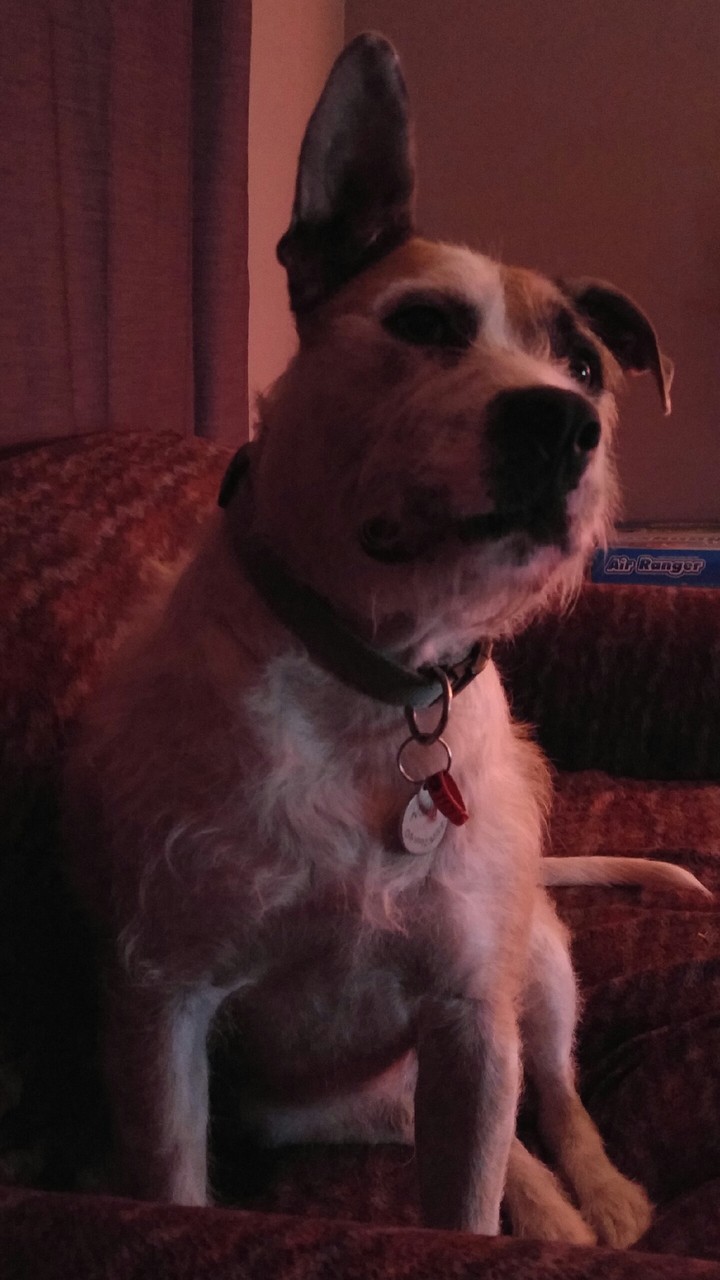 Wally 