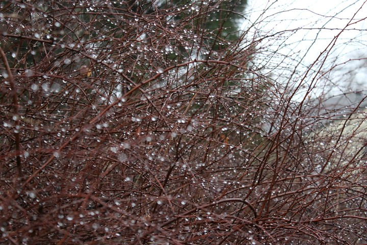many rain drops