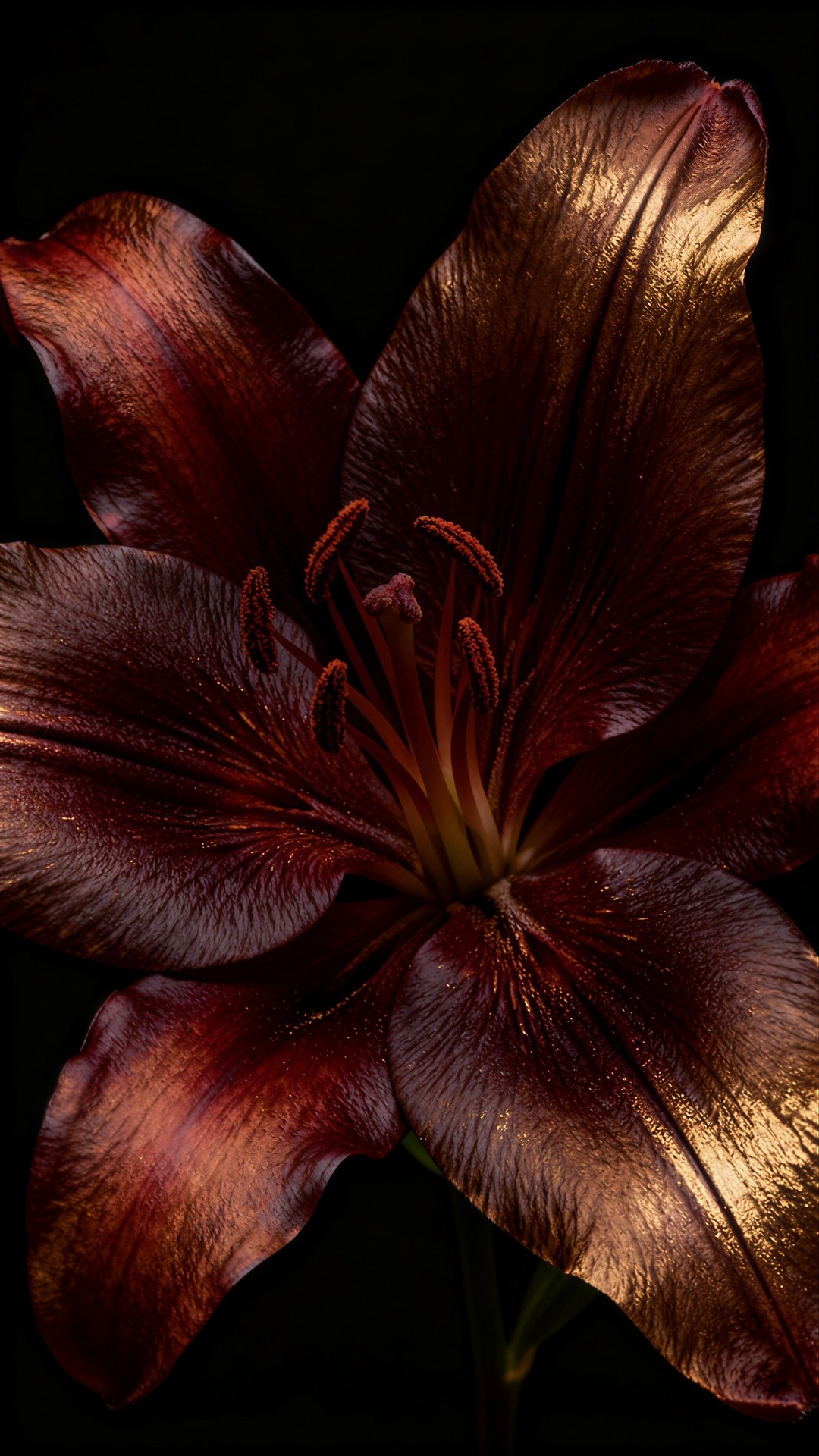 Beauty Blooms in The Darkness
