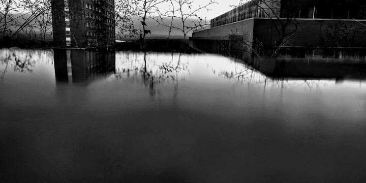 Reflecion