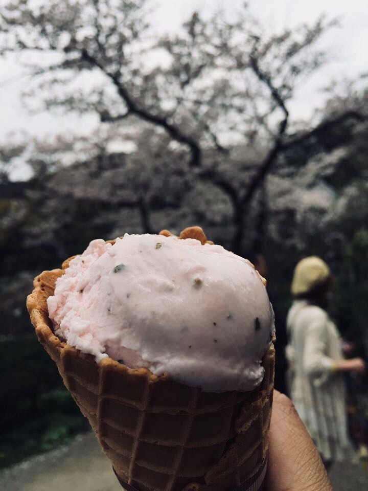Sakura Ice Cream in Japan