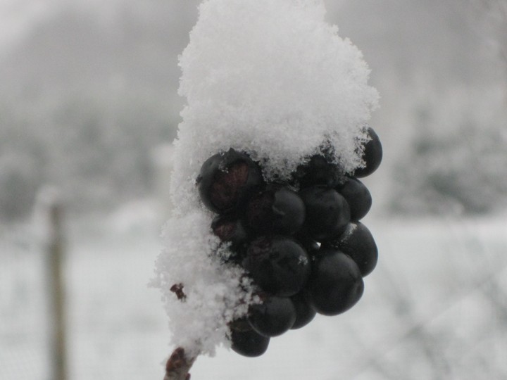 Snow