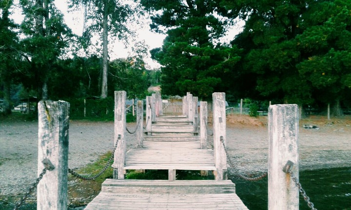 muelle