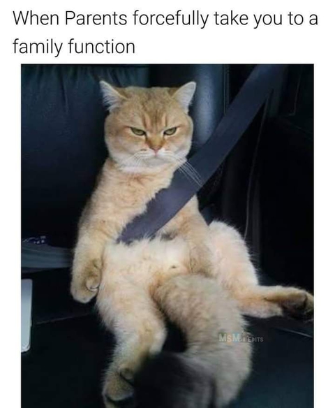 MEMES