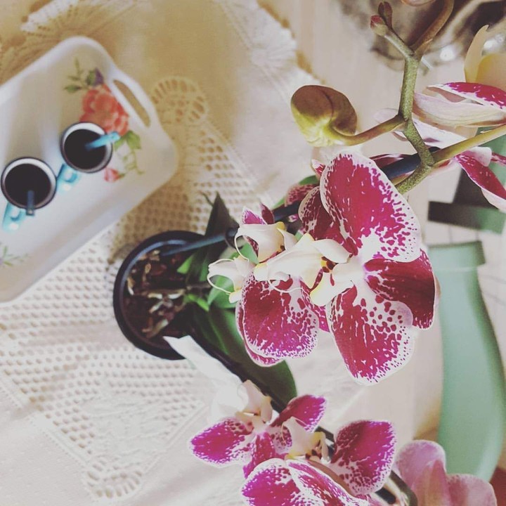Flower Power