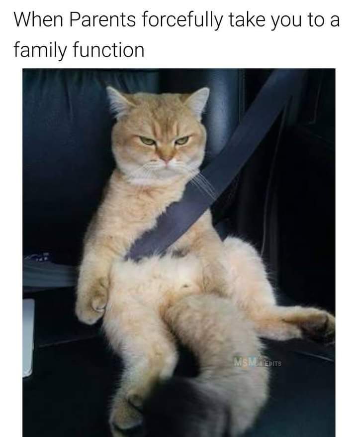 MEMES