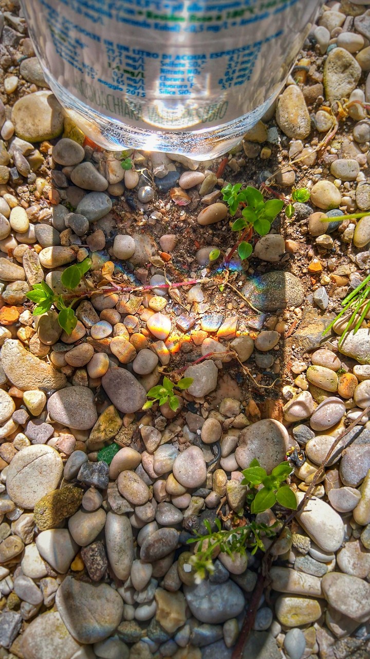 Bottle rainbow