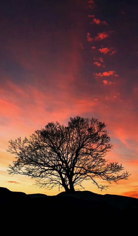 dusk