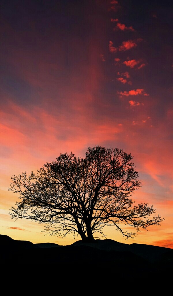 dusk