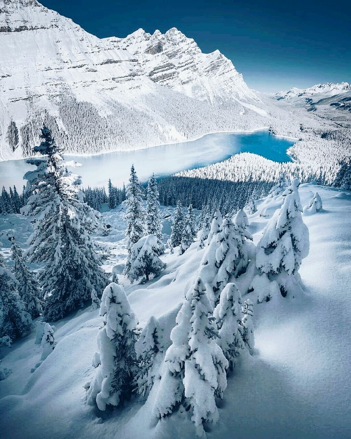 snow view
