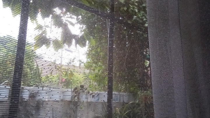 beautiful morning
