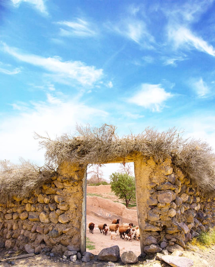 Torbat-e Jam