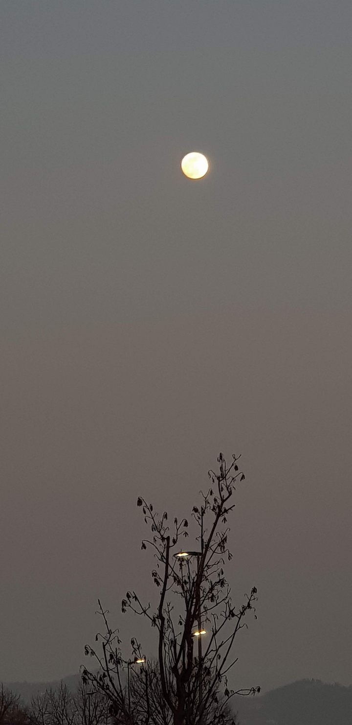 Moon
