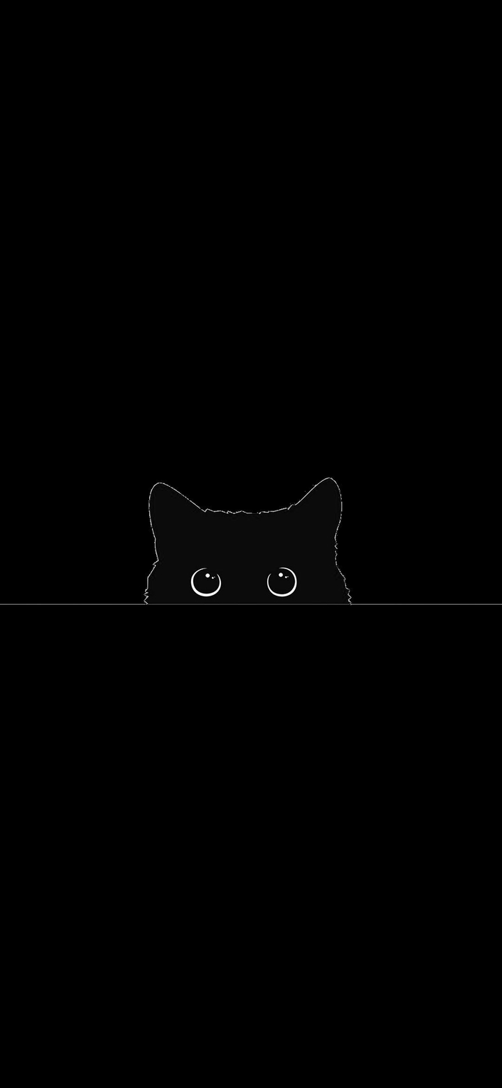 Wallpaper