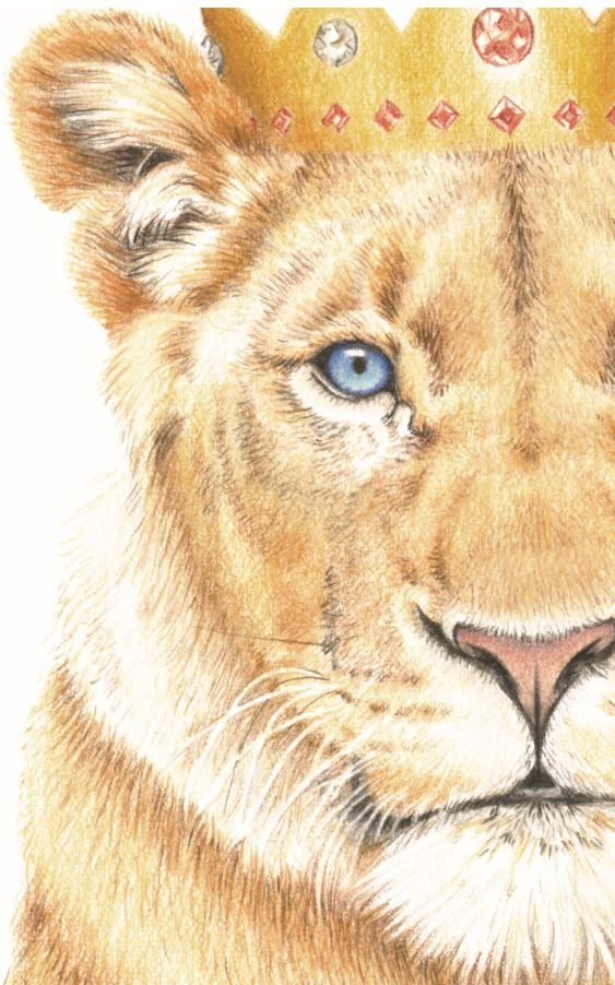 Lioness