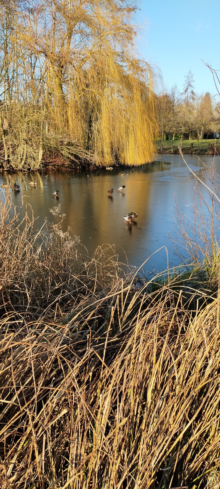 eau gelée en hiver