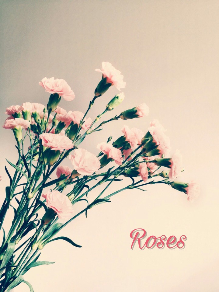 Roses