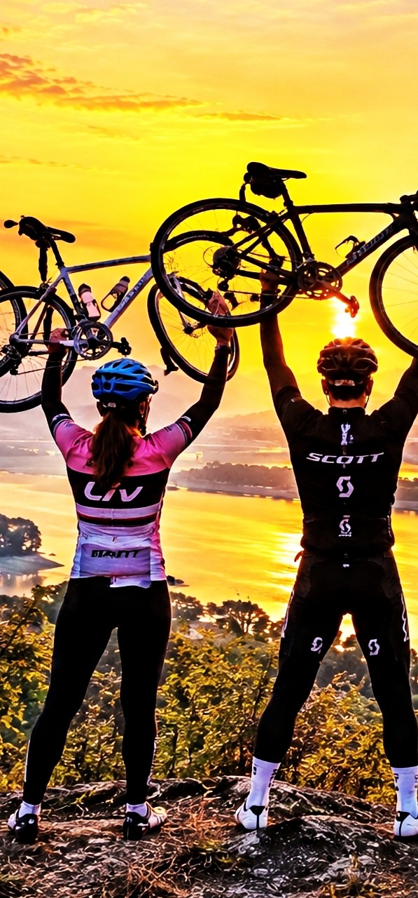 tire, bicycle achtergronden