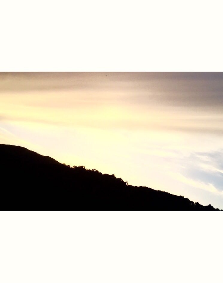 GOLD SKY