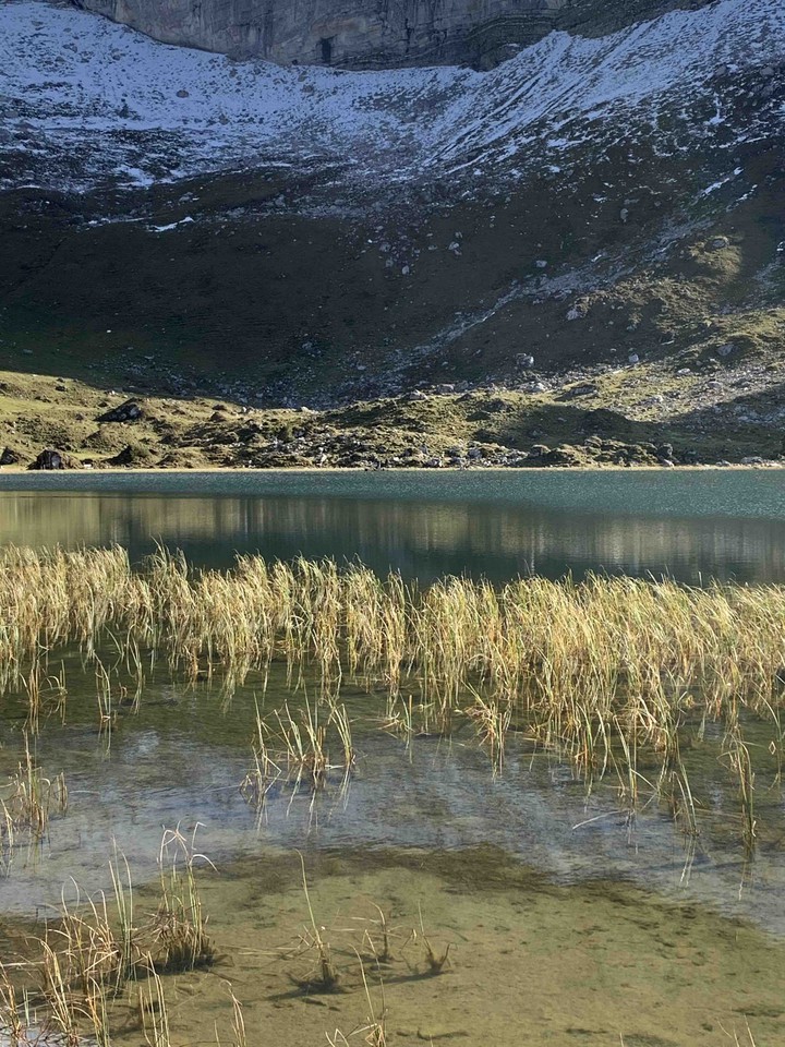 silenceonlake