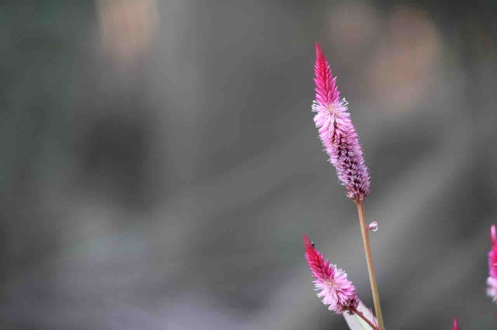 just a click