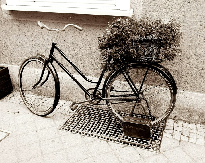 Bicycle