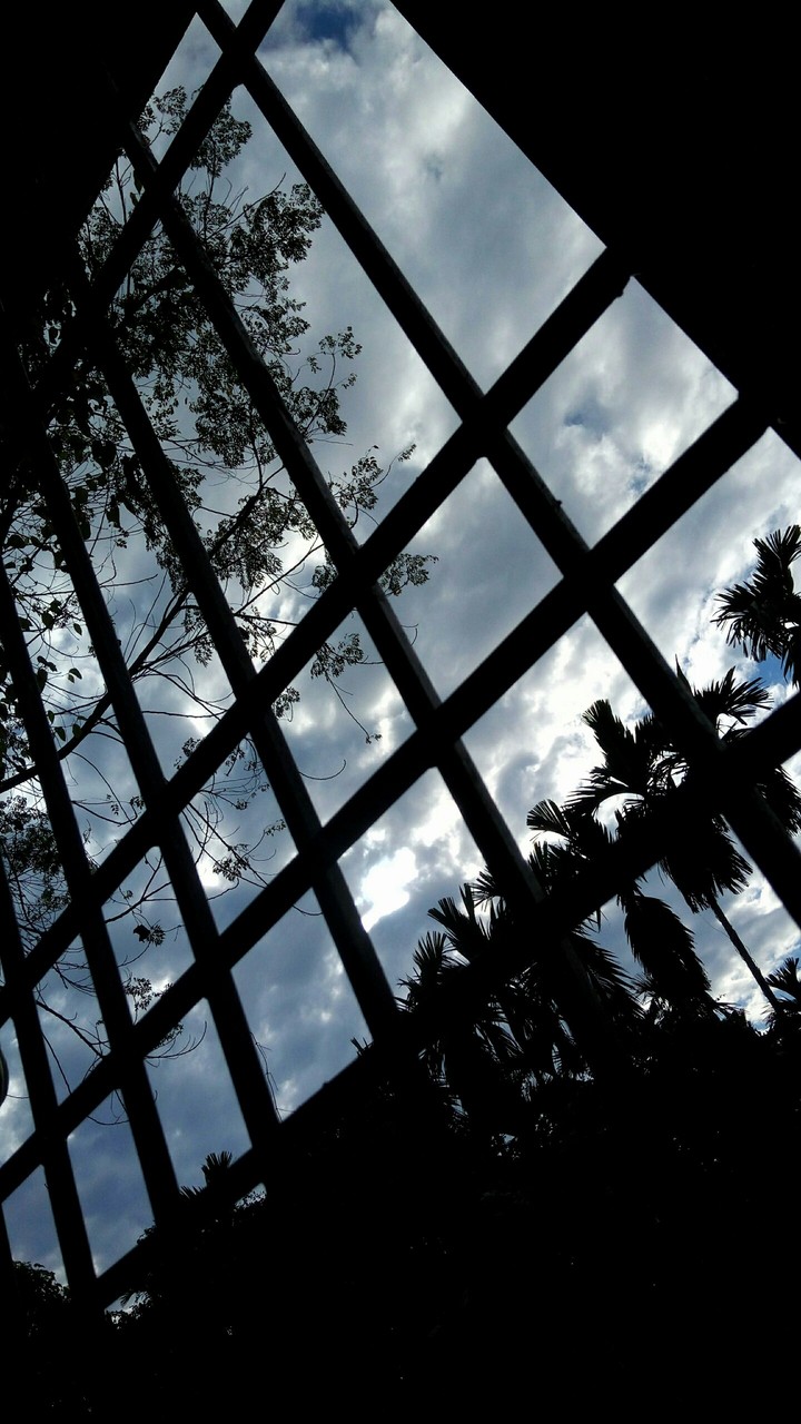 the window