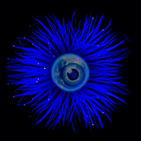 Blue Creature