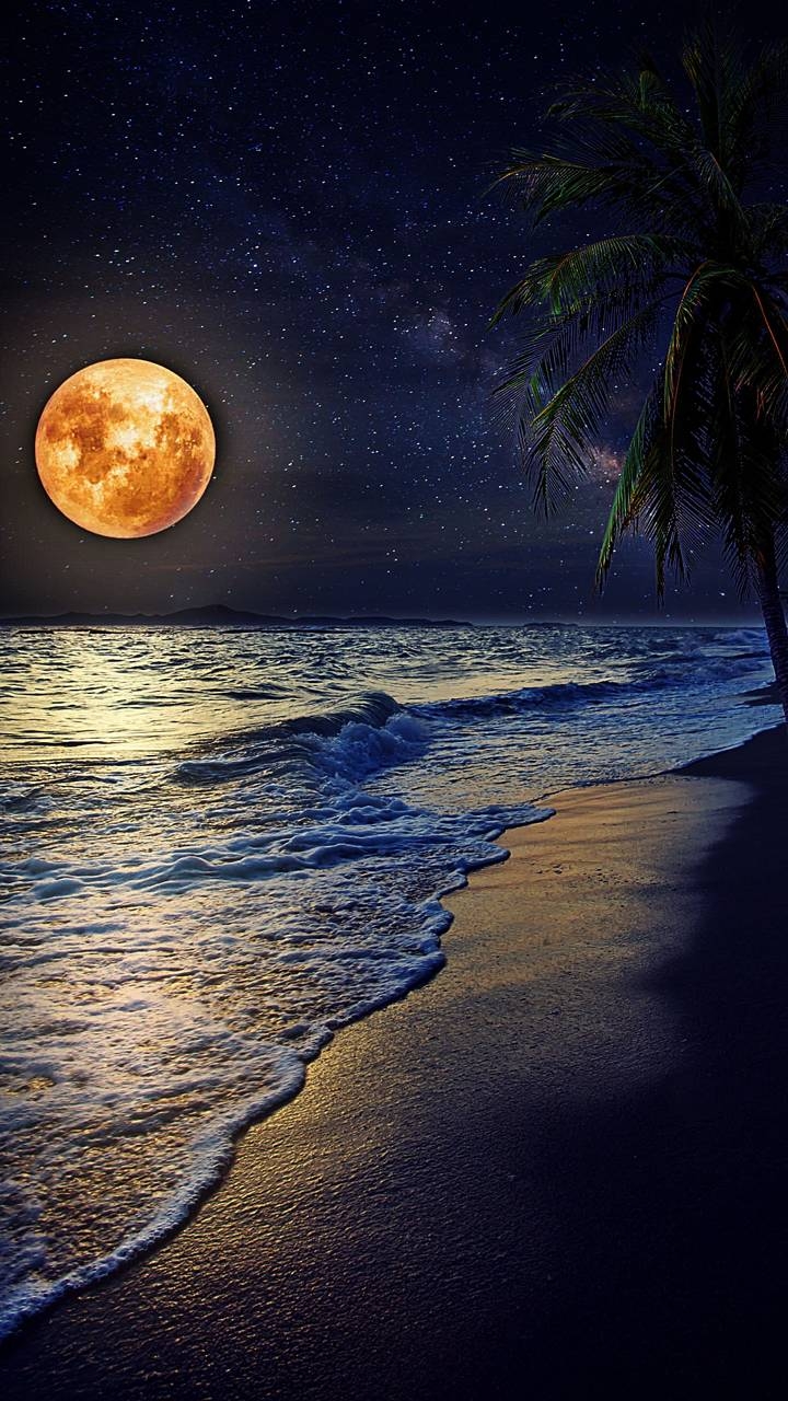 moon shine