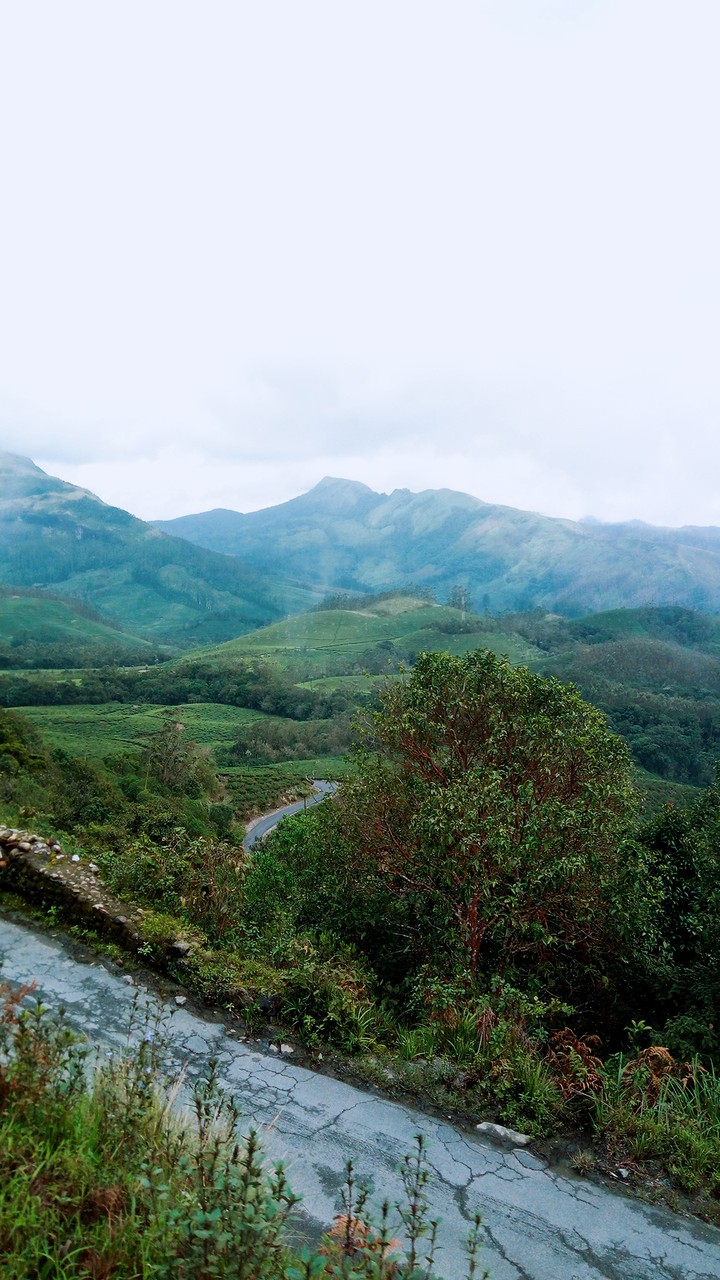 Munnar