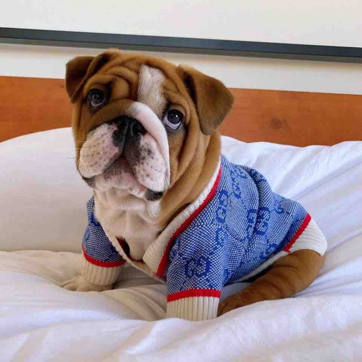 cute