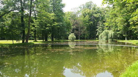 Staw