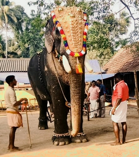 saran ayyapan