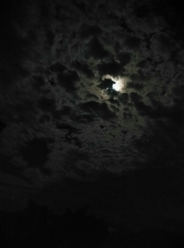 dark