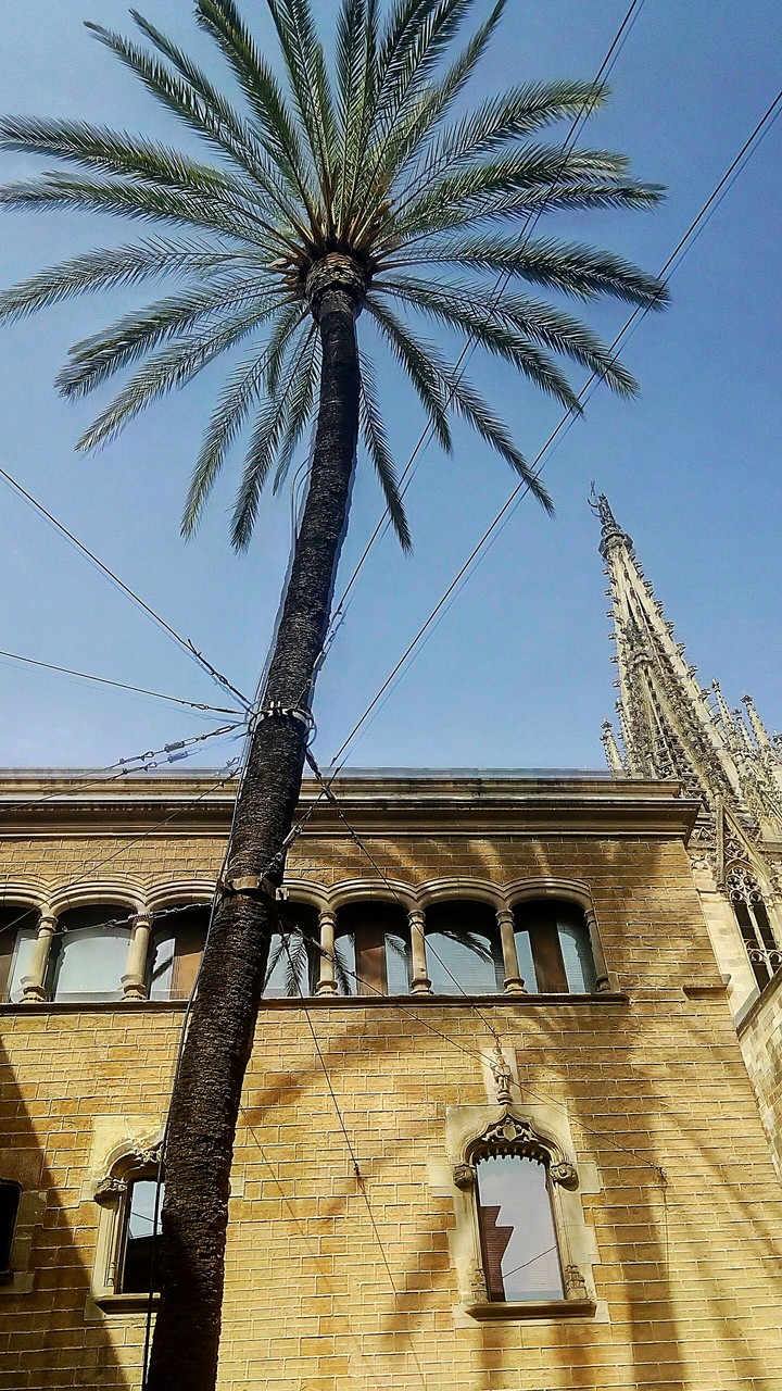 Contrasts of Barcelona