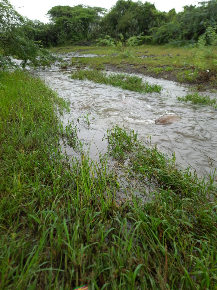 seen of my village