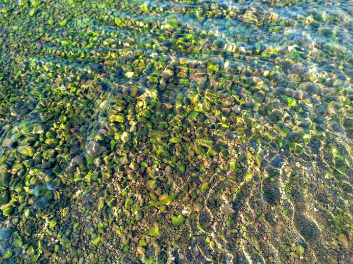 water flow and algae