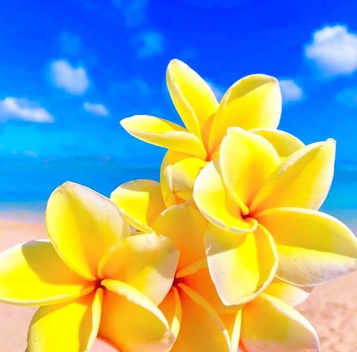 BRIGHT COLOR