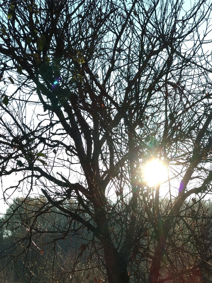 In the morning