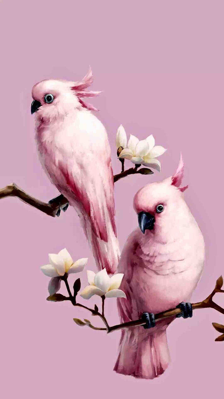 Parrots