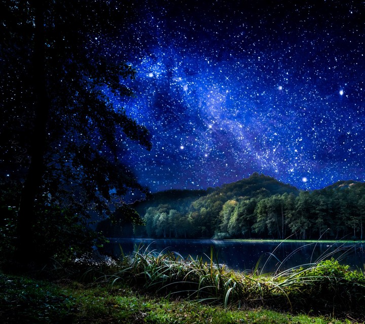 Stars