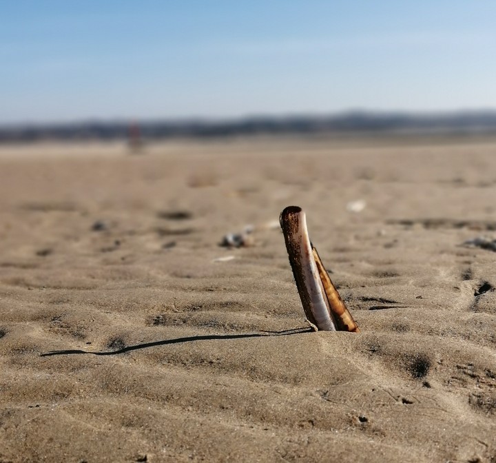Touquet Paris plage